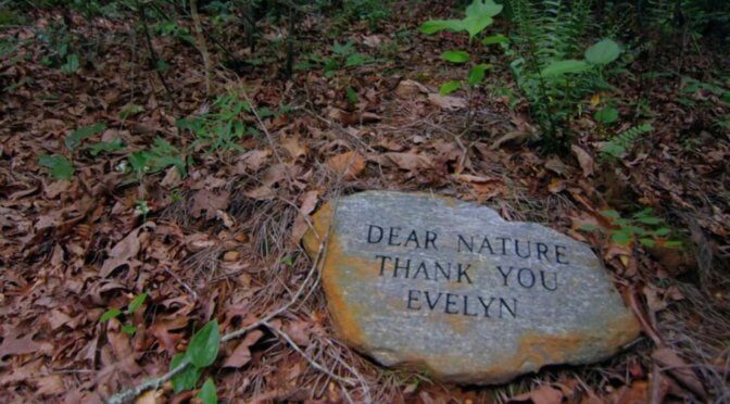 Photo: A Will for the Woods