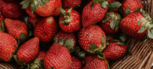 15th ANNUAL STRAWBERRY CEREMONY @ Toronto Police Headquarters