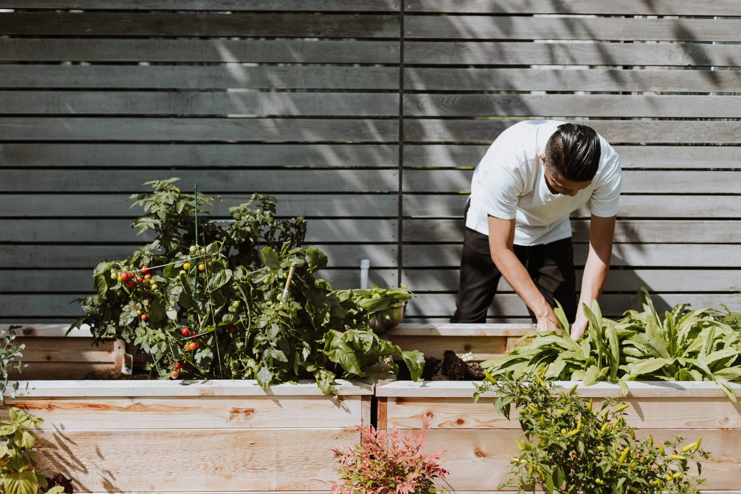 photo of a man tending his home garden; Photo by Priscilla Du Preez on Unsplash