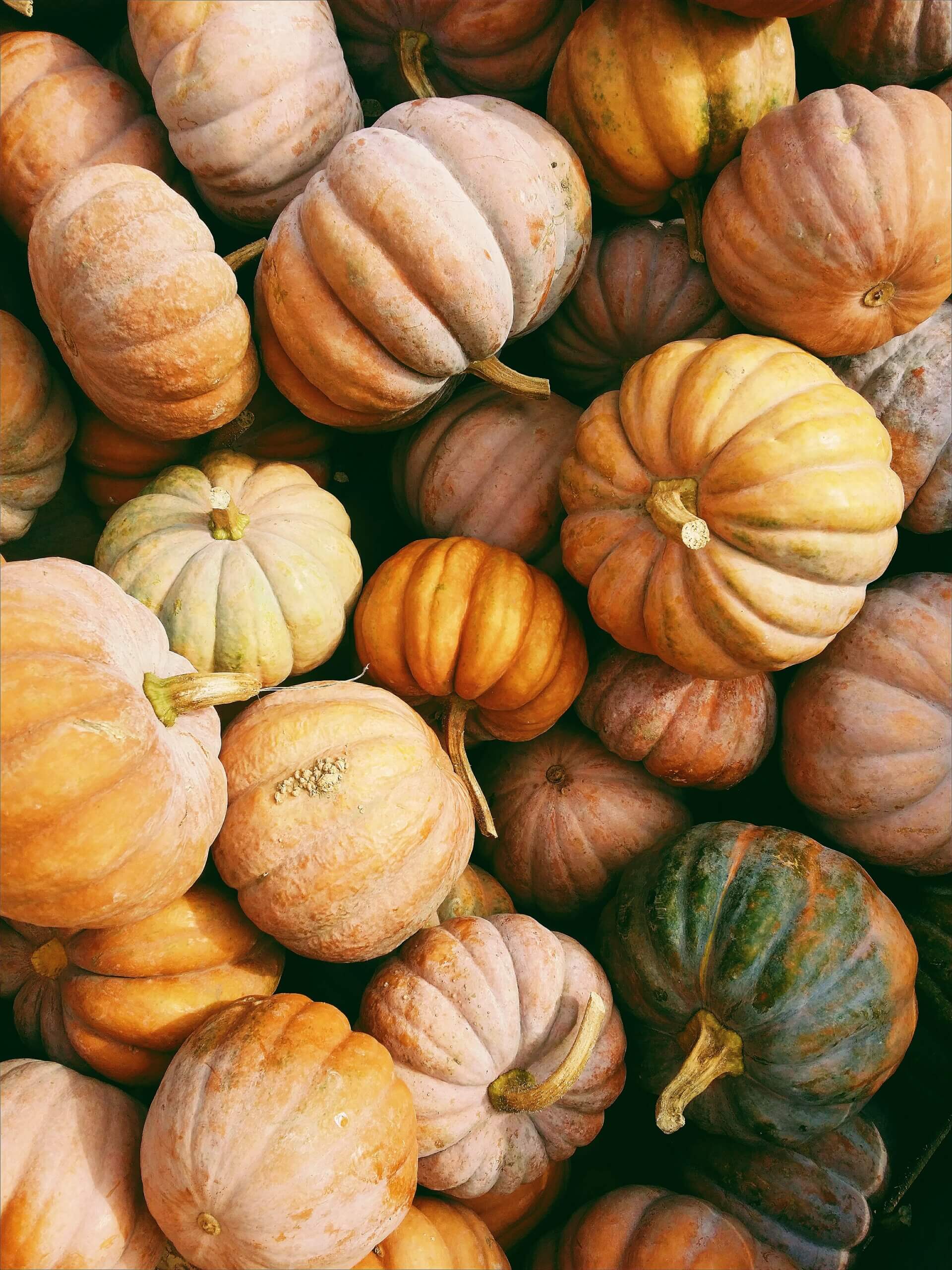 a jumble of pumpkins in different shades of orange and green