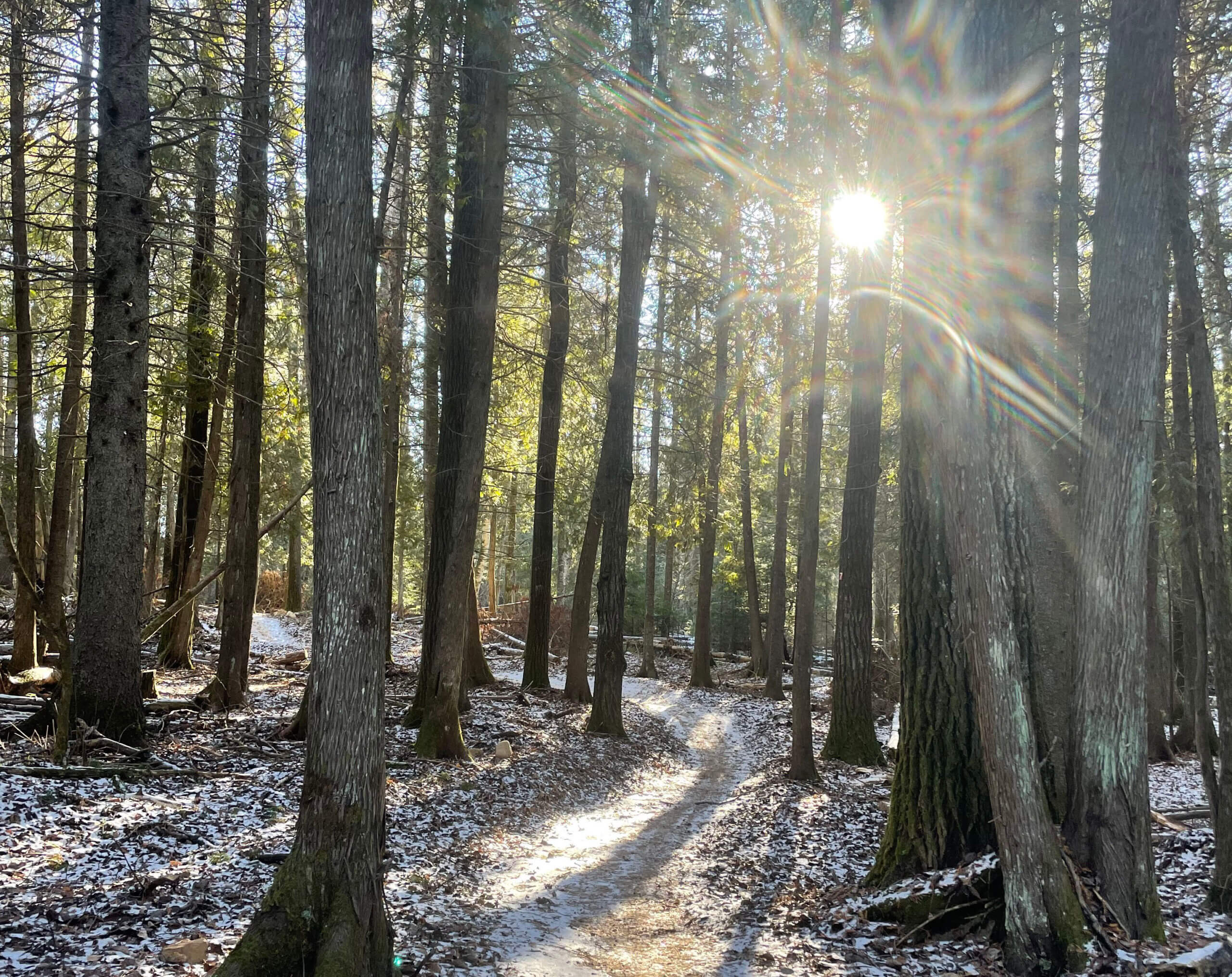 a path through the woods dusted with snow. The sun shines between two trees