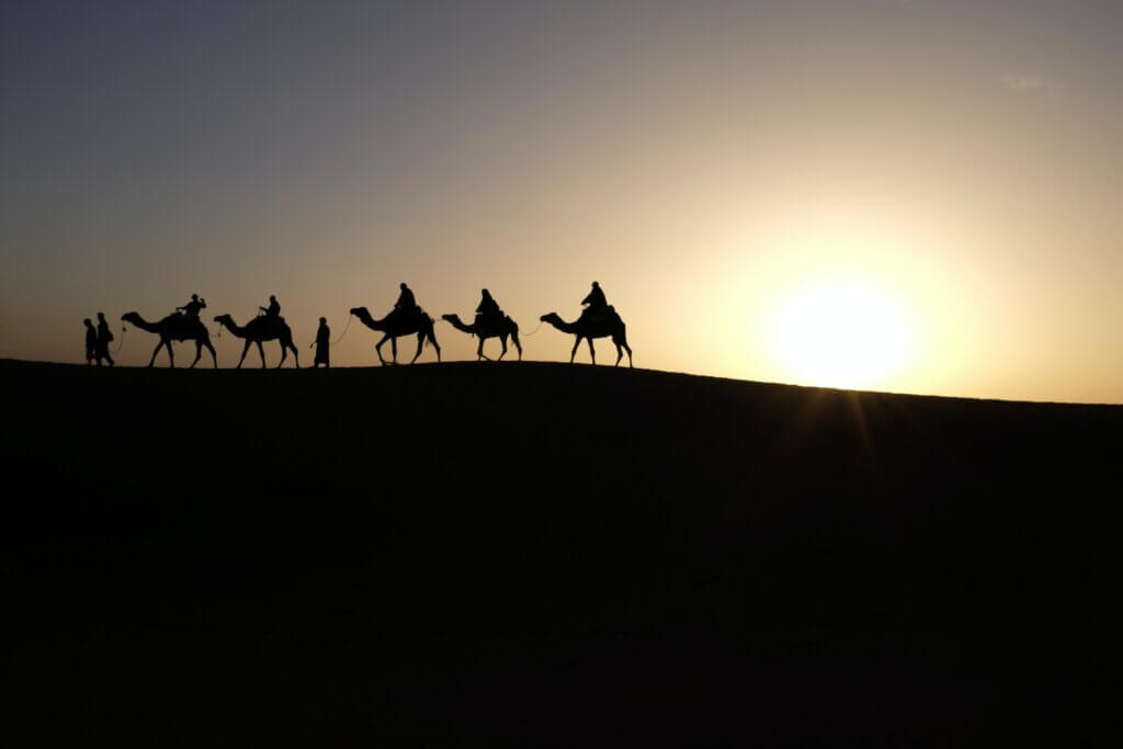 camels and riders against a sunset